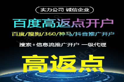 某行业头部企业信息流广告推广全解析